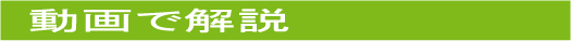 動画で解説
